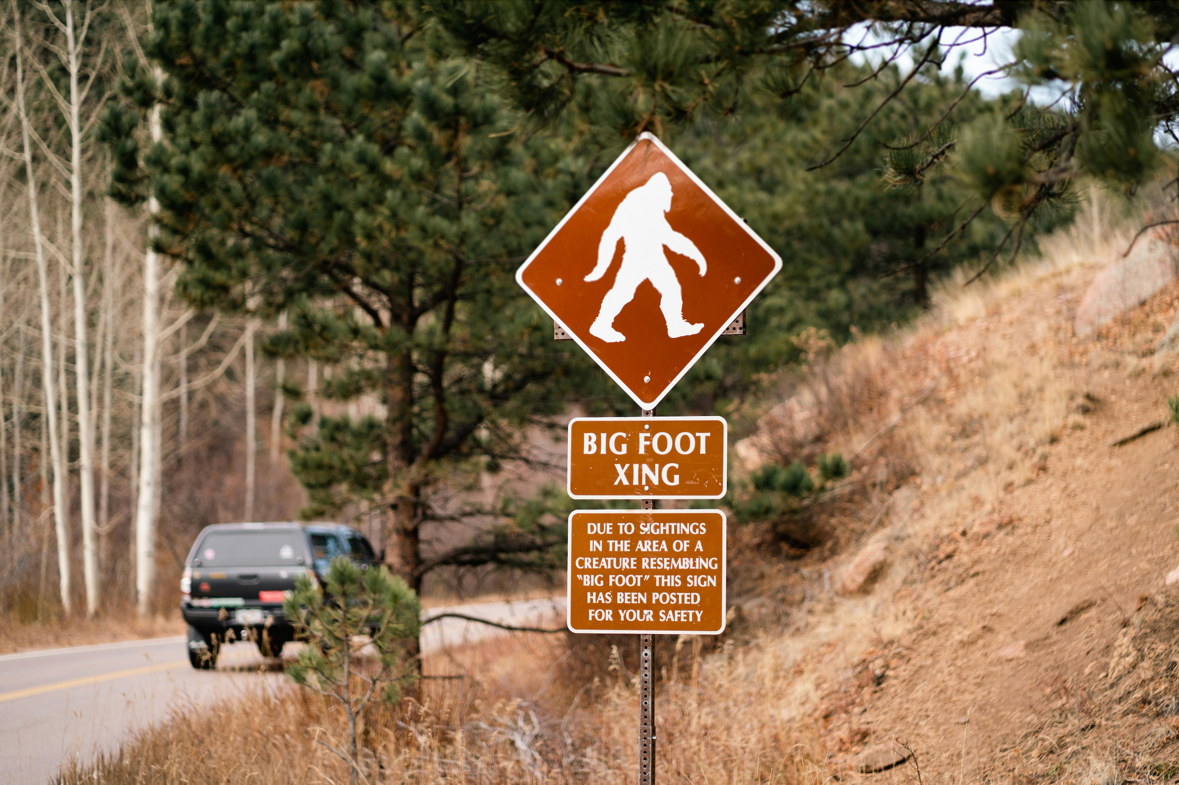 Believe in Legends: America’s Cryptids