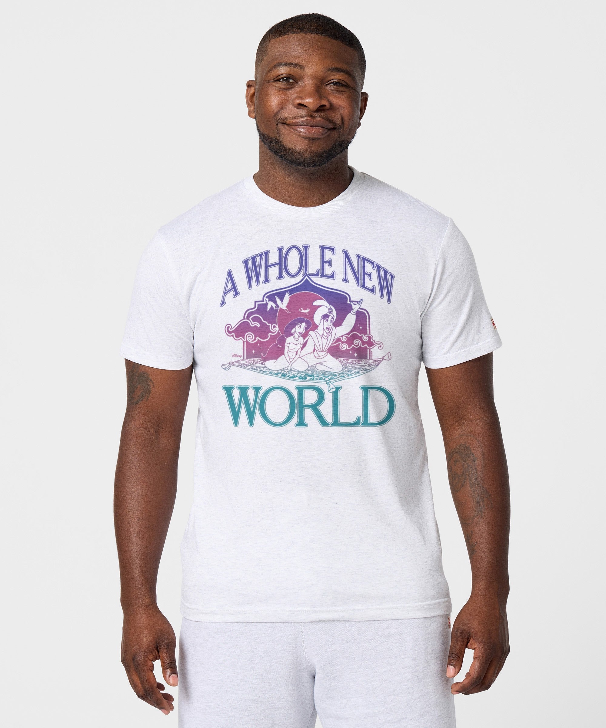 Aladdin A Whole New World