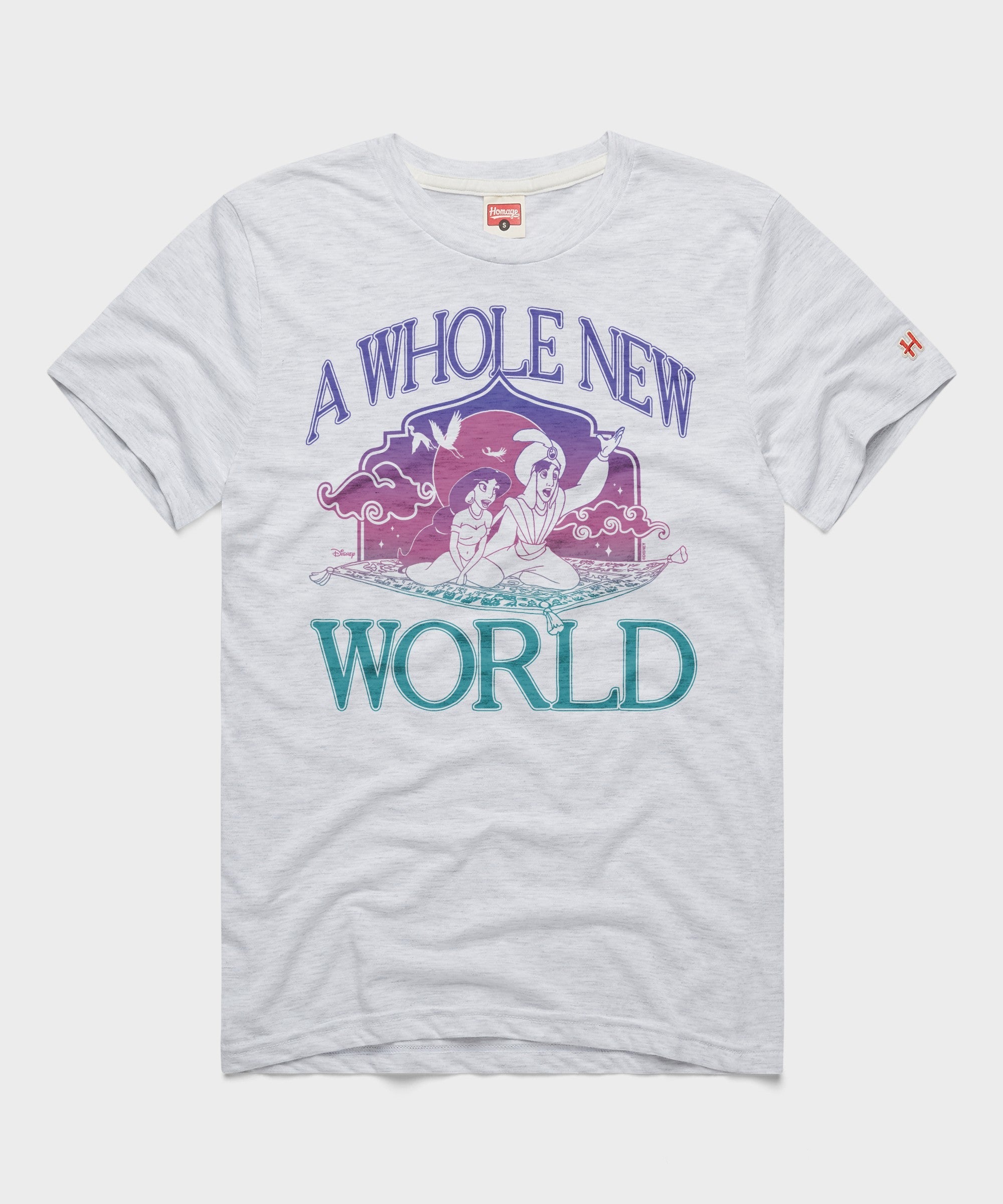 Aladdin A Whole New World