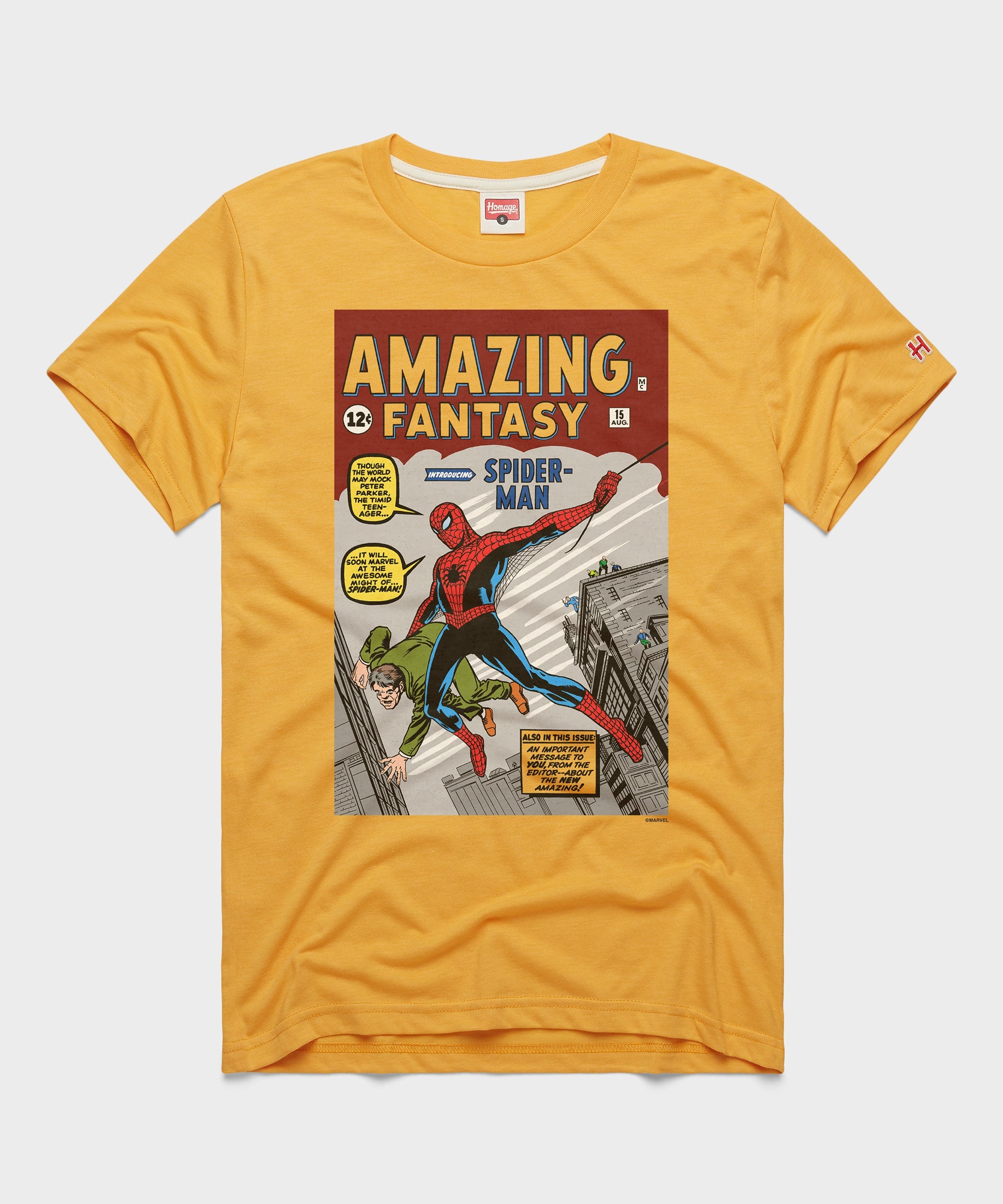 Amazing Fantasy Issue '15