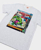 Amazing Spider Man 119 Spidey Vs Hulk