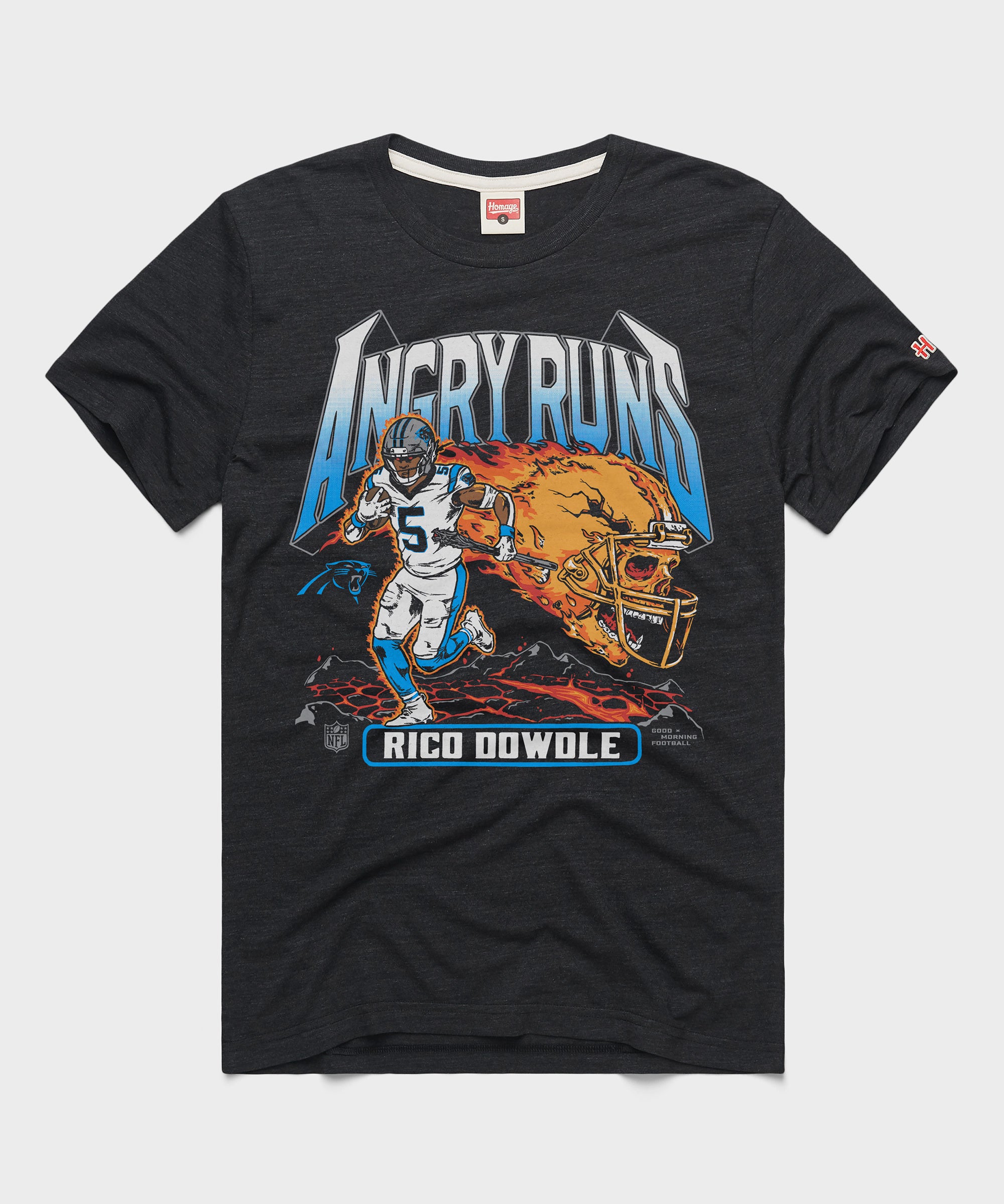 Angry Runs 2025 Panthers Rico Dowdle