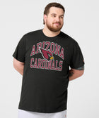 Arizona Cardinals Arch