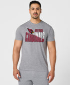 Arizona Cardinals Color Splash