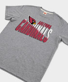 Arizona Cardinals Color Splash