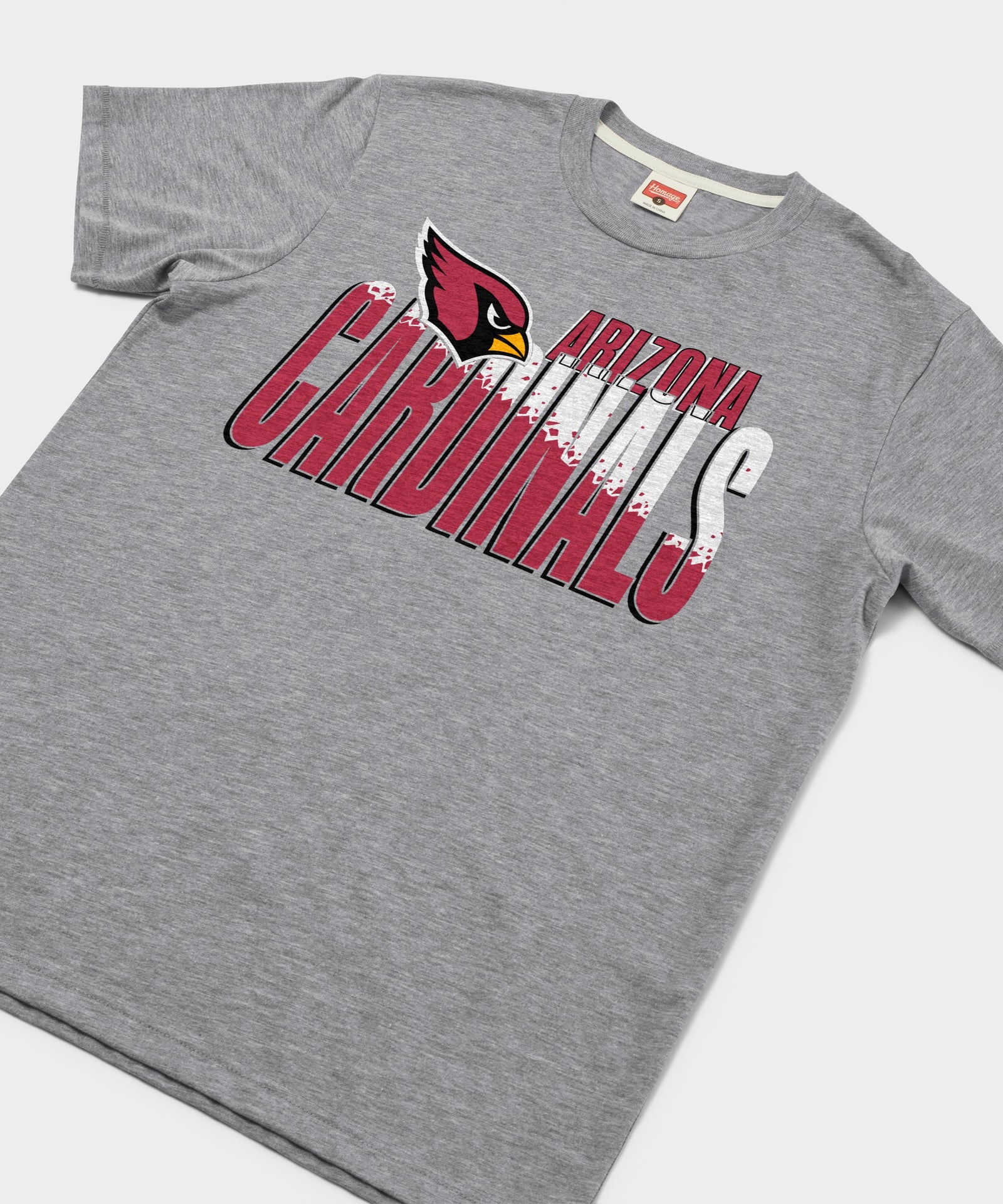 Arizona Cardinals Color Splash