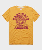 Arizona Cardinals Desert Landscape