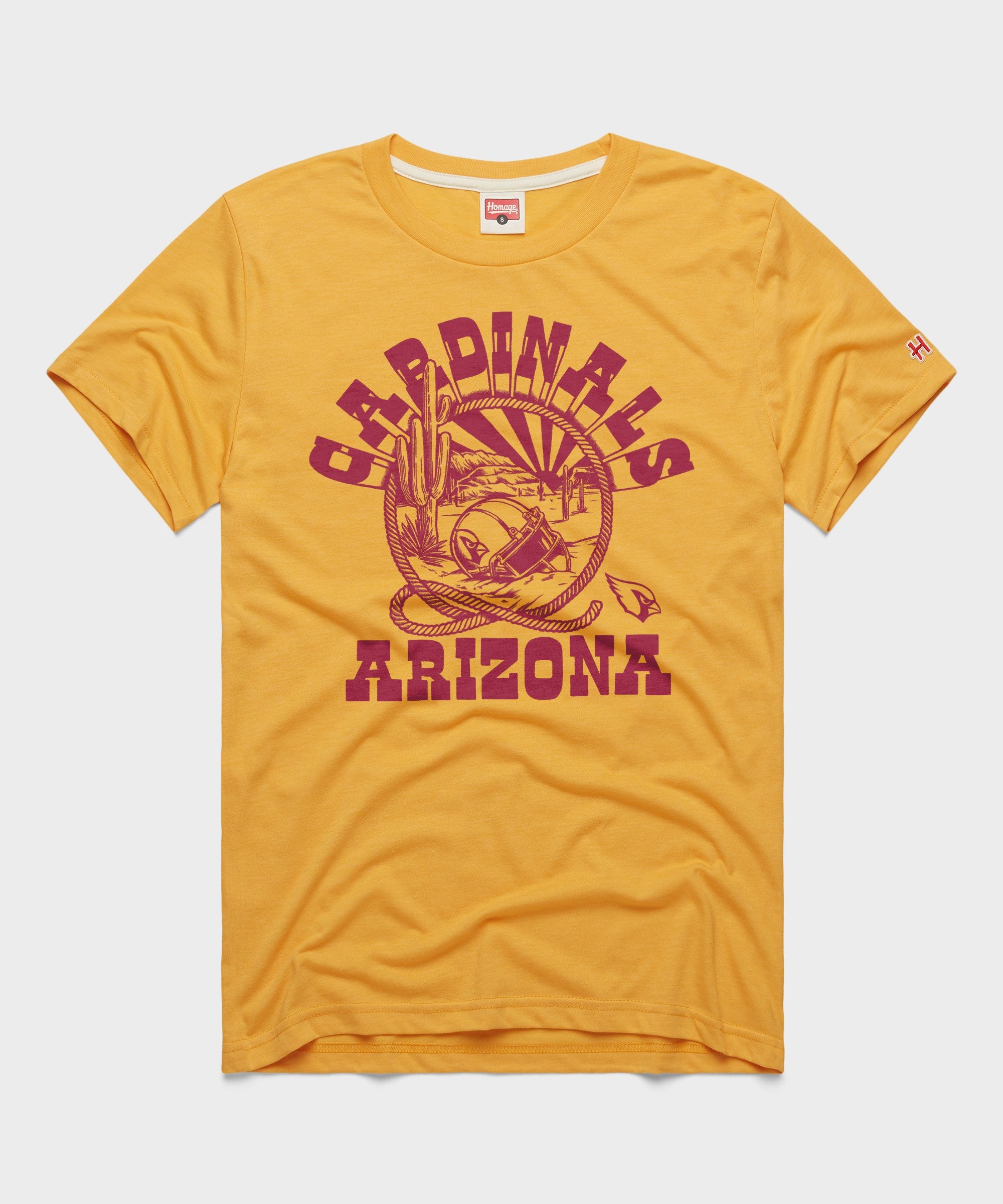 Arizona Cardinals Desert Landscape