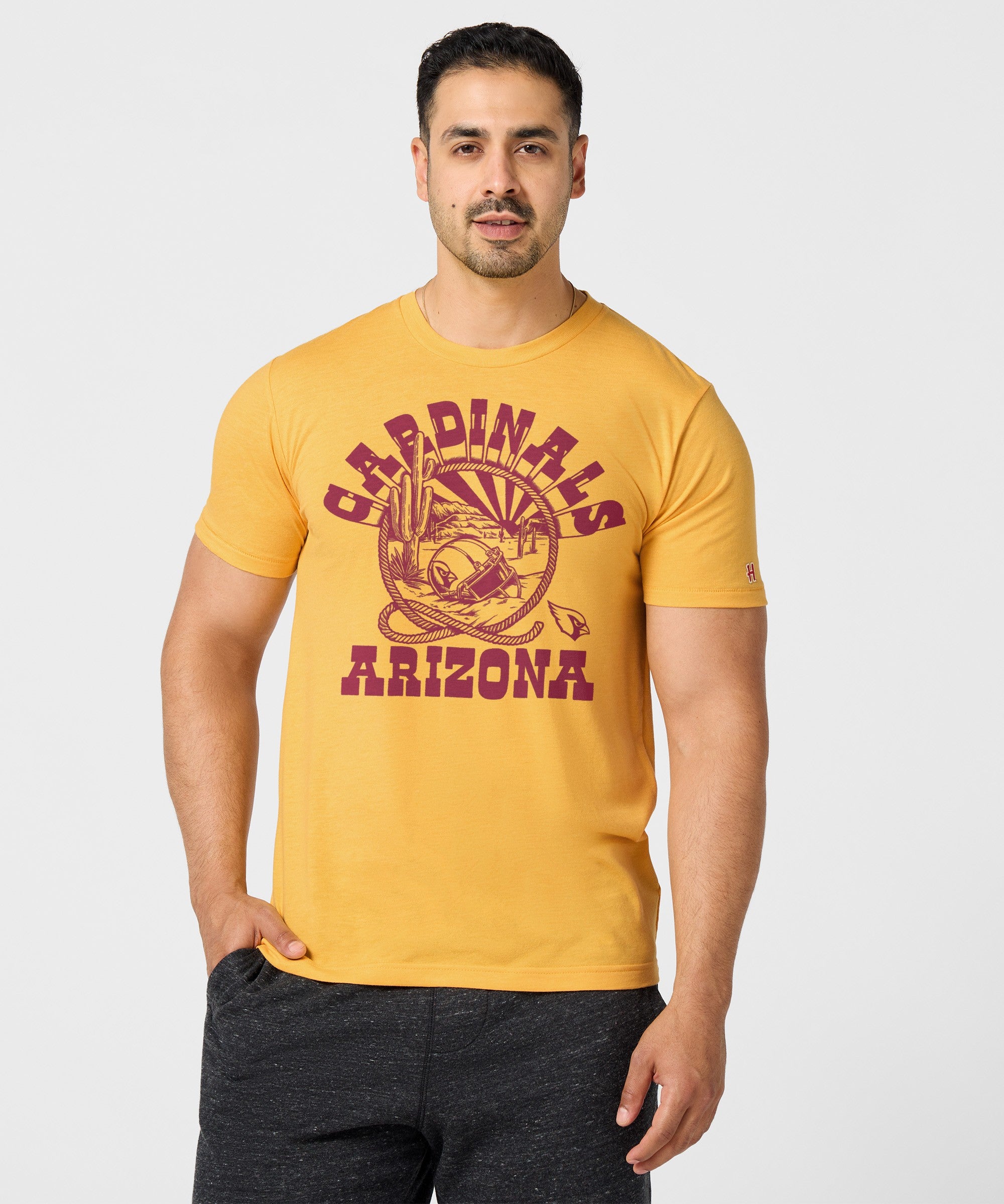 Arizona Cardinals Desert Landscape