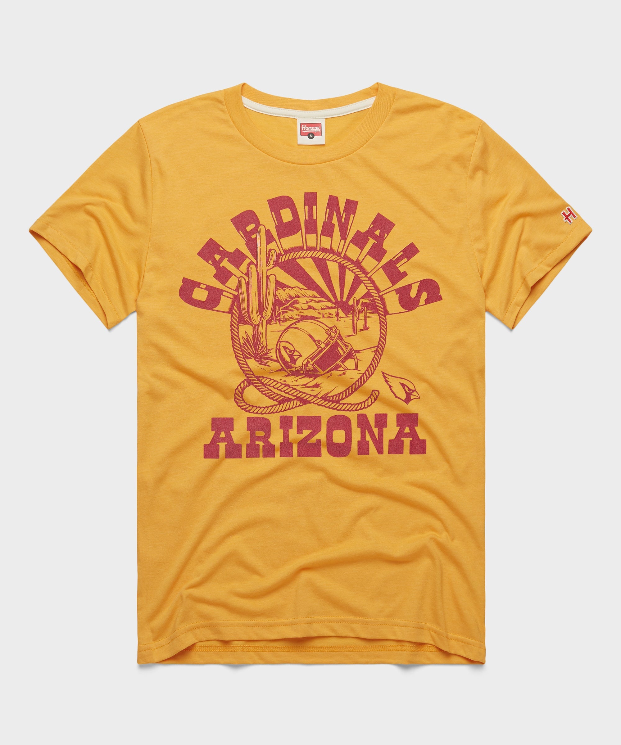 Arizona Cardinals Desert Landscape