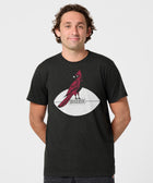 Arizona Cardinals '47