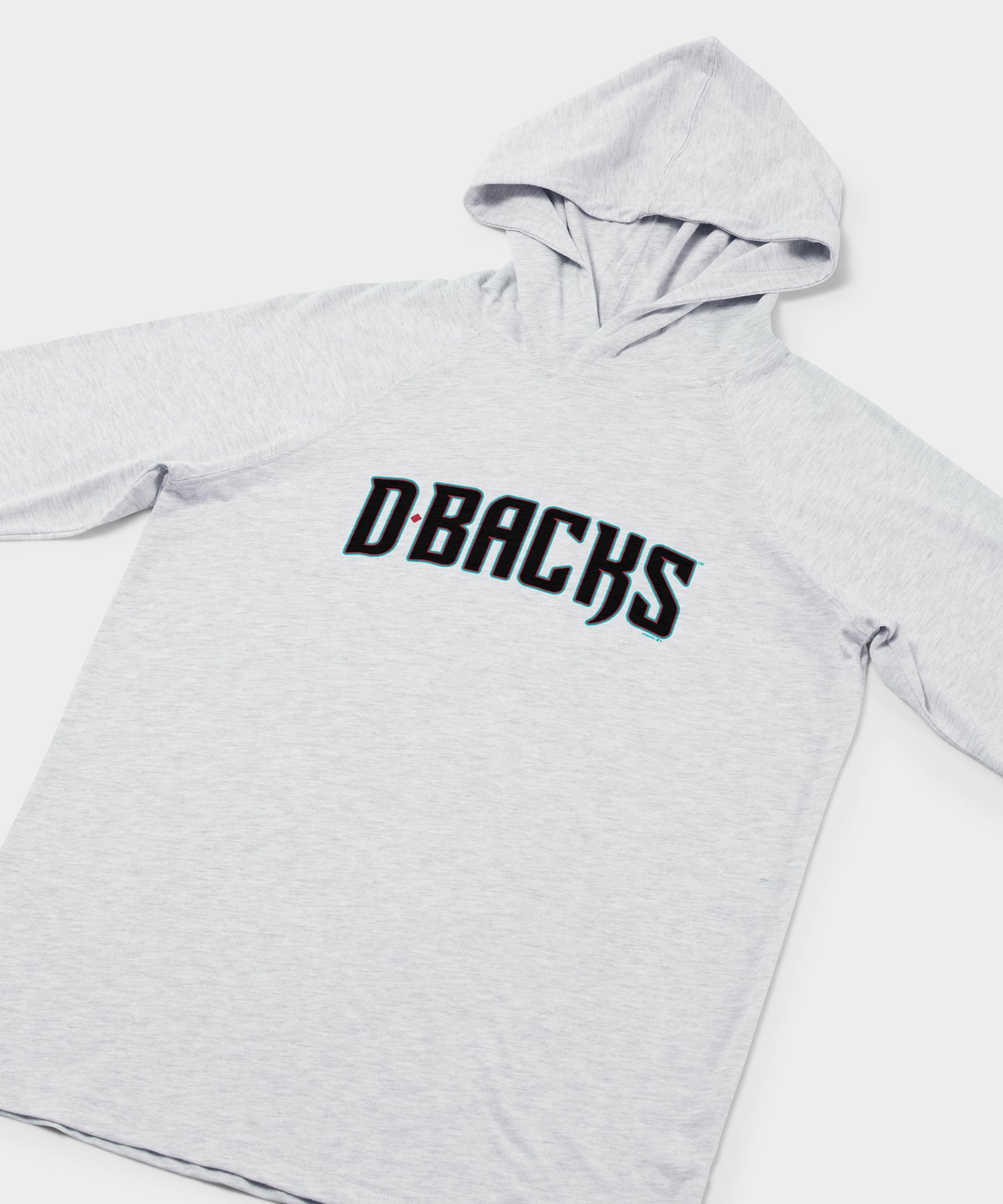 Arizona Diamondbacks Jersey Logo '23 Lightweight Hoodie