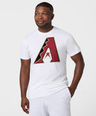 Arizona Diamondbacks '12