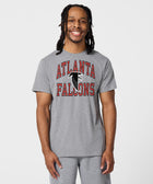 Atlanta Falcons Arch