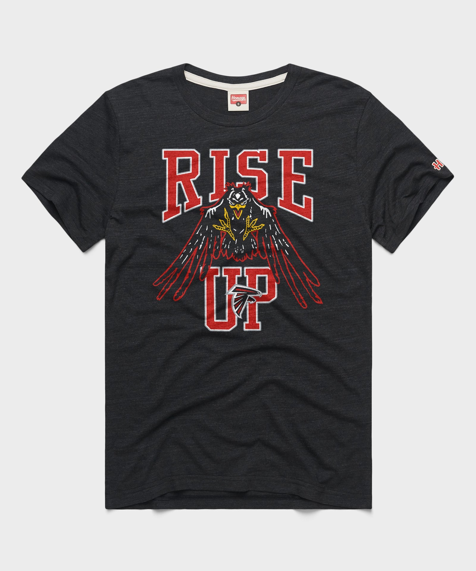 Atlanta Falcons Rise Up