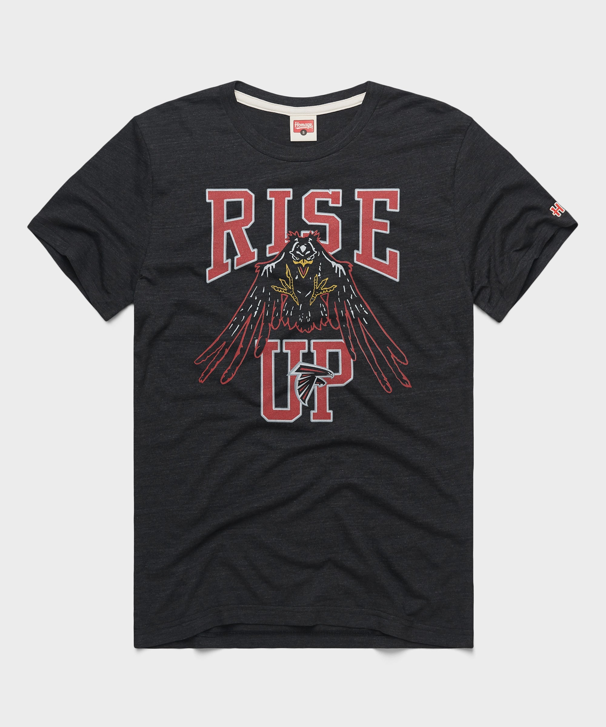 Atlanta Falcons Rise Up