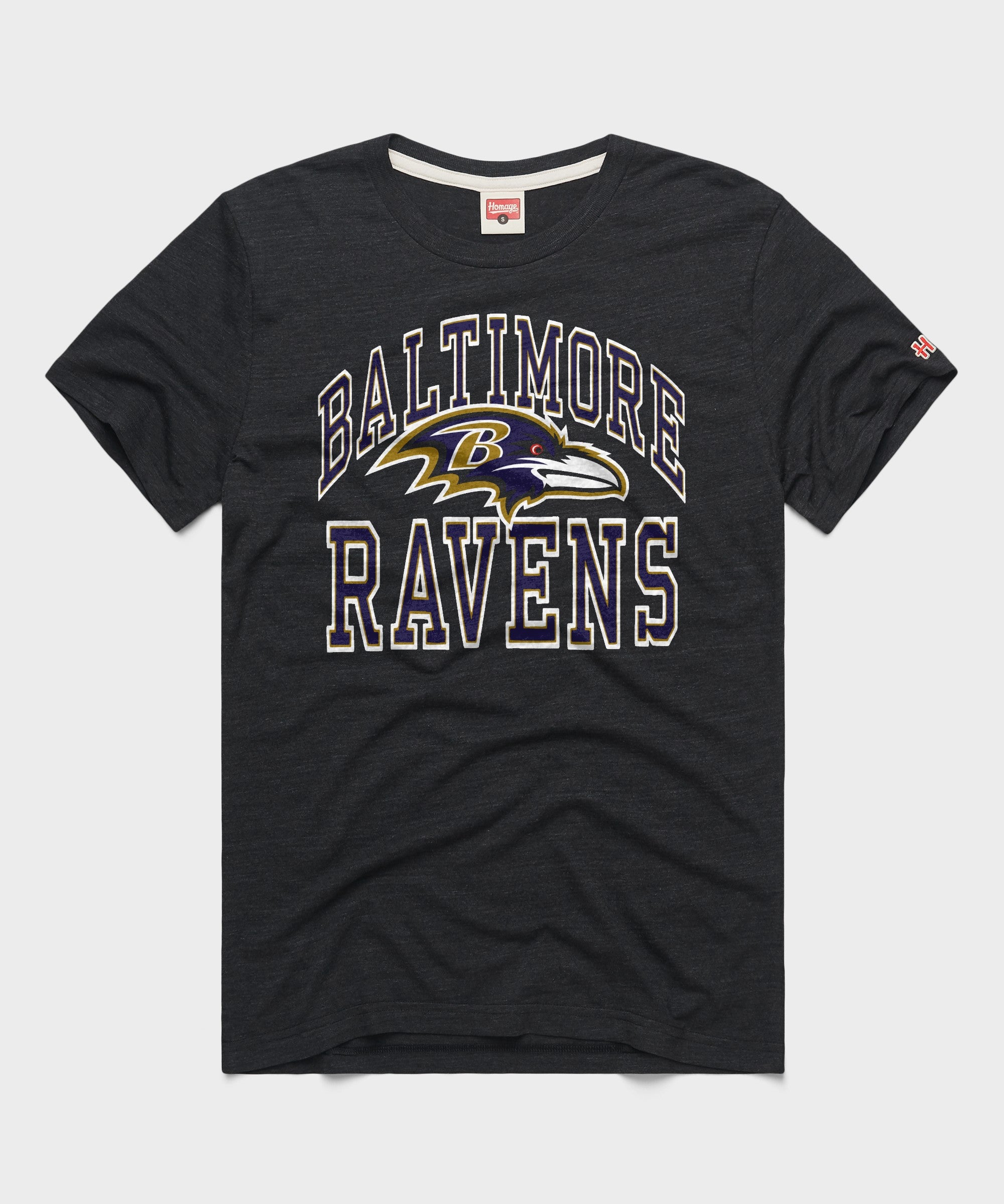 Baltimore Ravens Arch