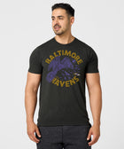 Baltimore Ravens The Raven