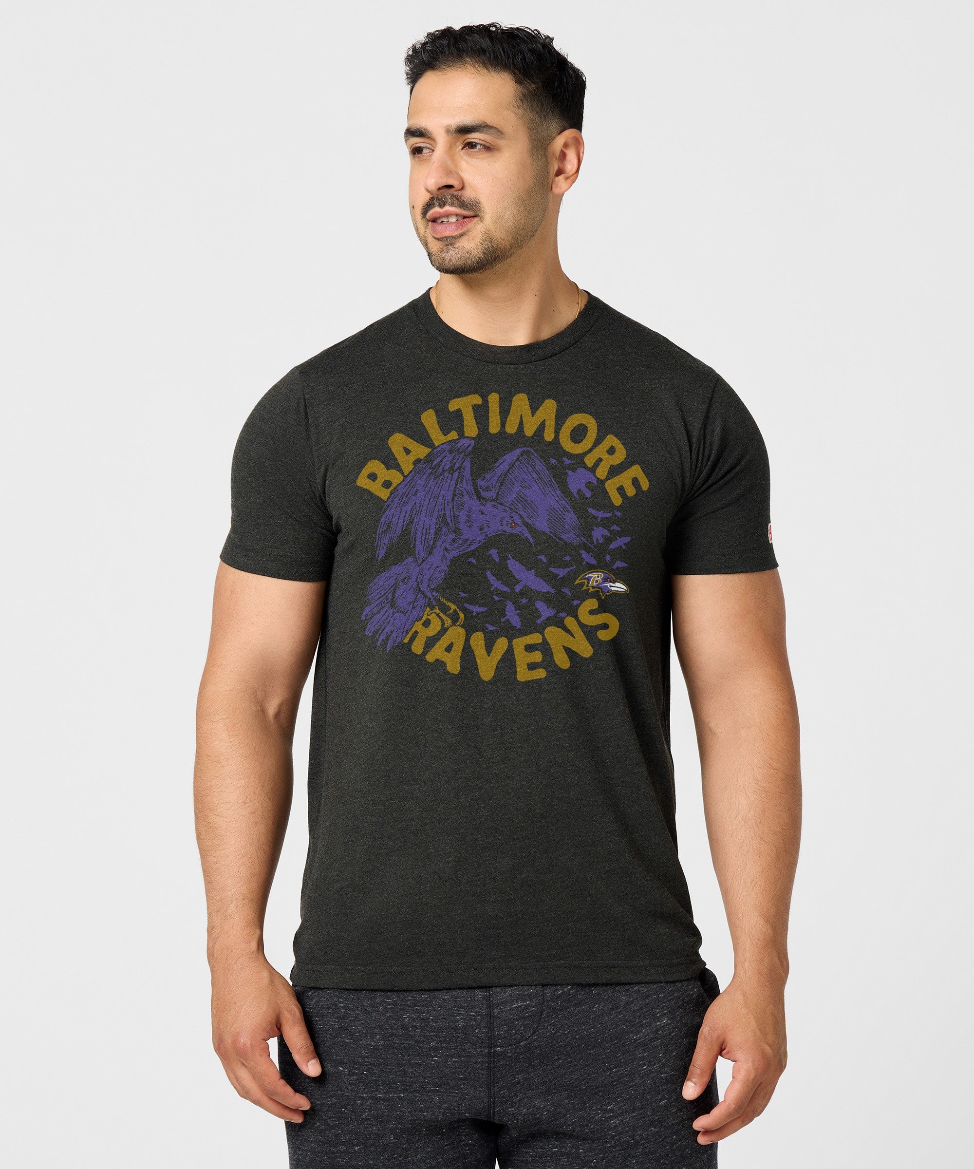 Baltimore Ravens The Raven