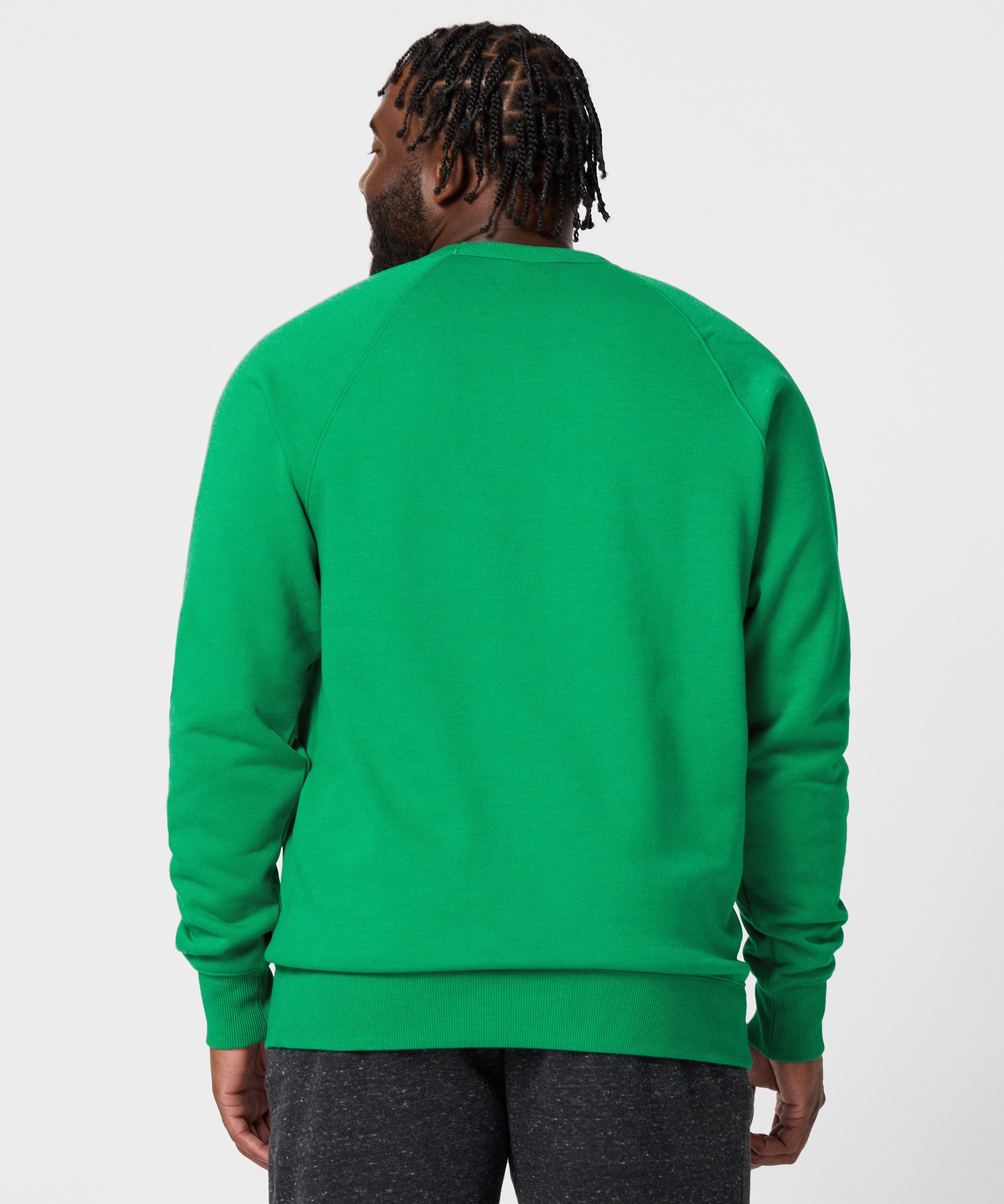 Batman Robin Character Crewneck