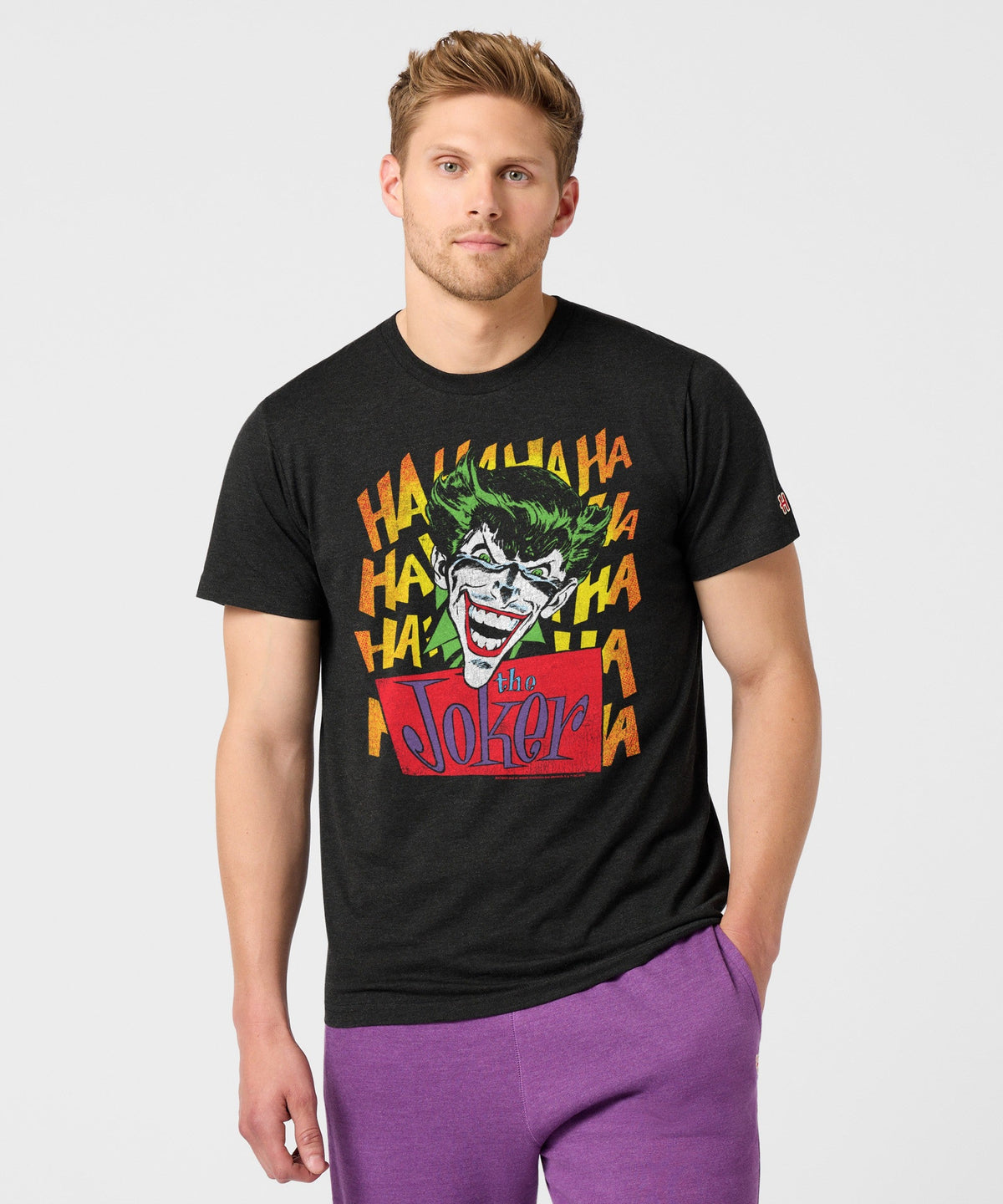 Batman The Joker
