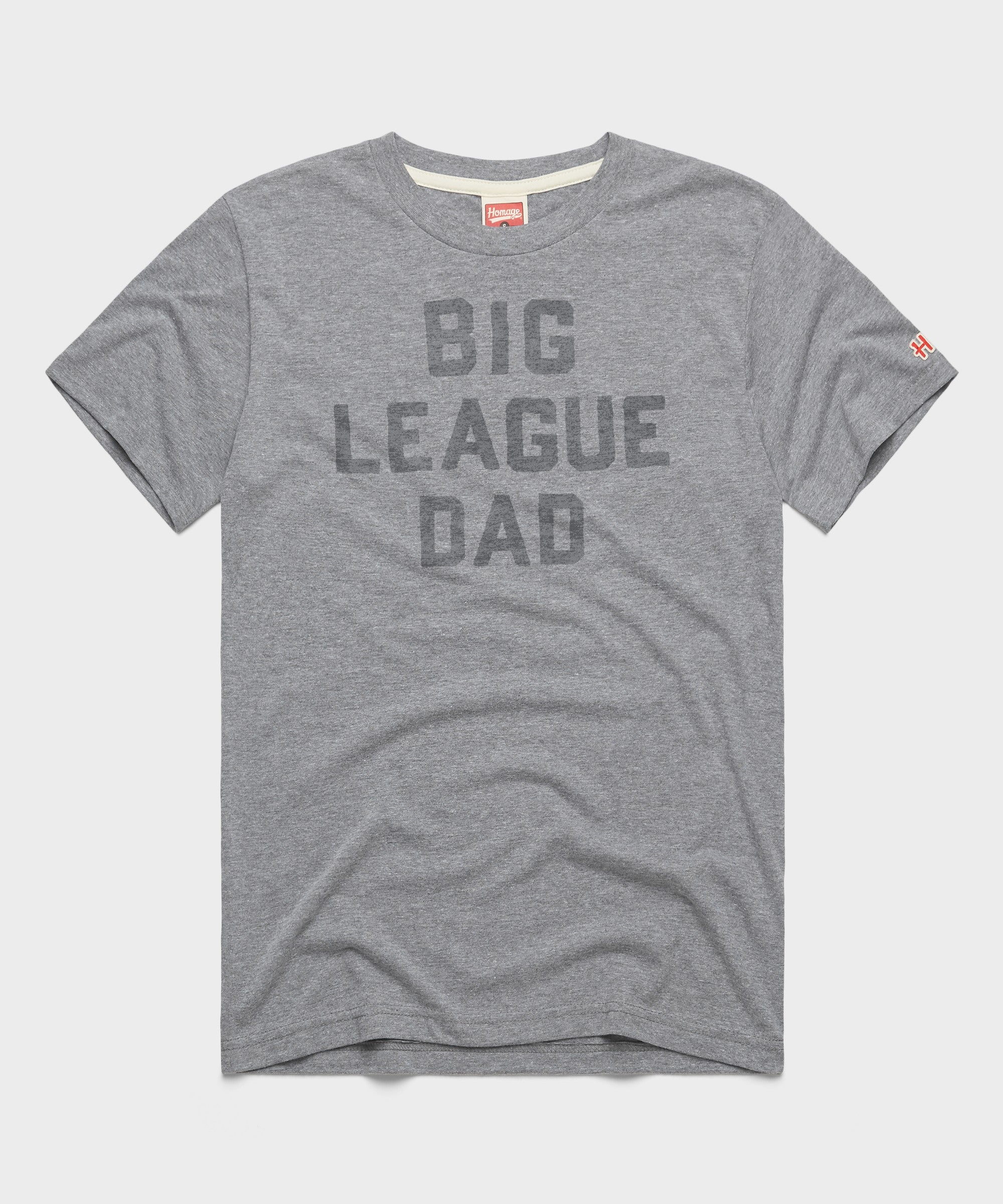 Big League Dad