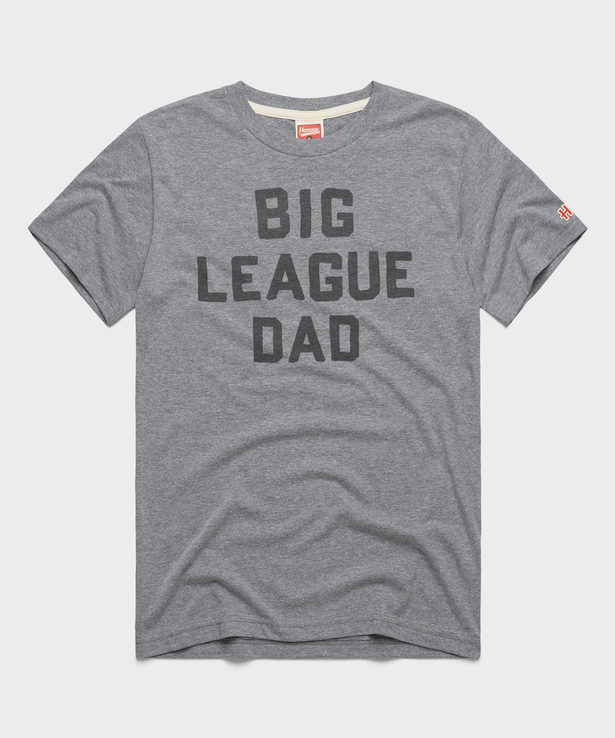 Big League Dad
