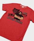 Big Sexy Kevin Nash