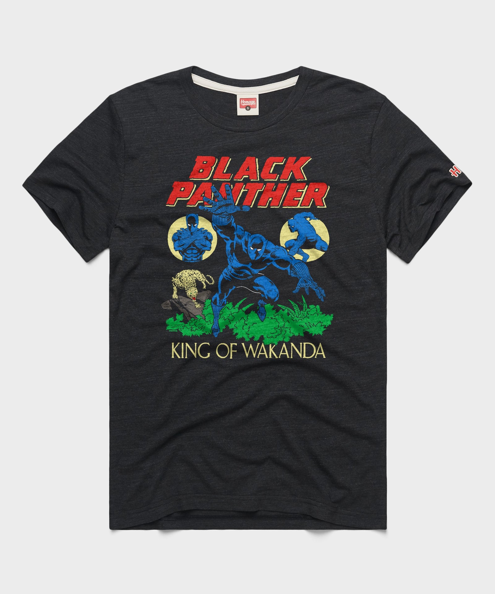 Black Panther The King Of Wakanda