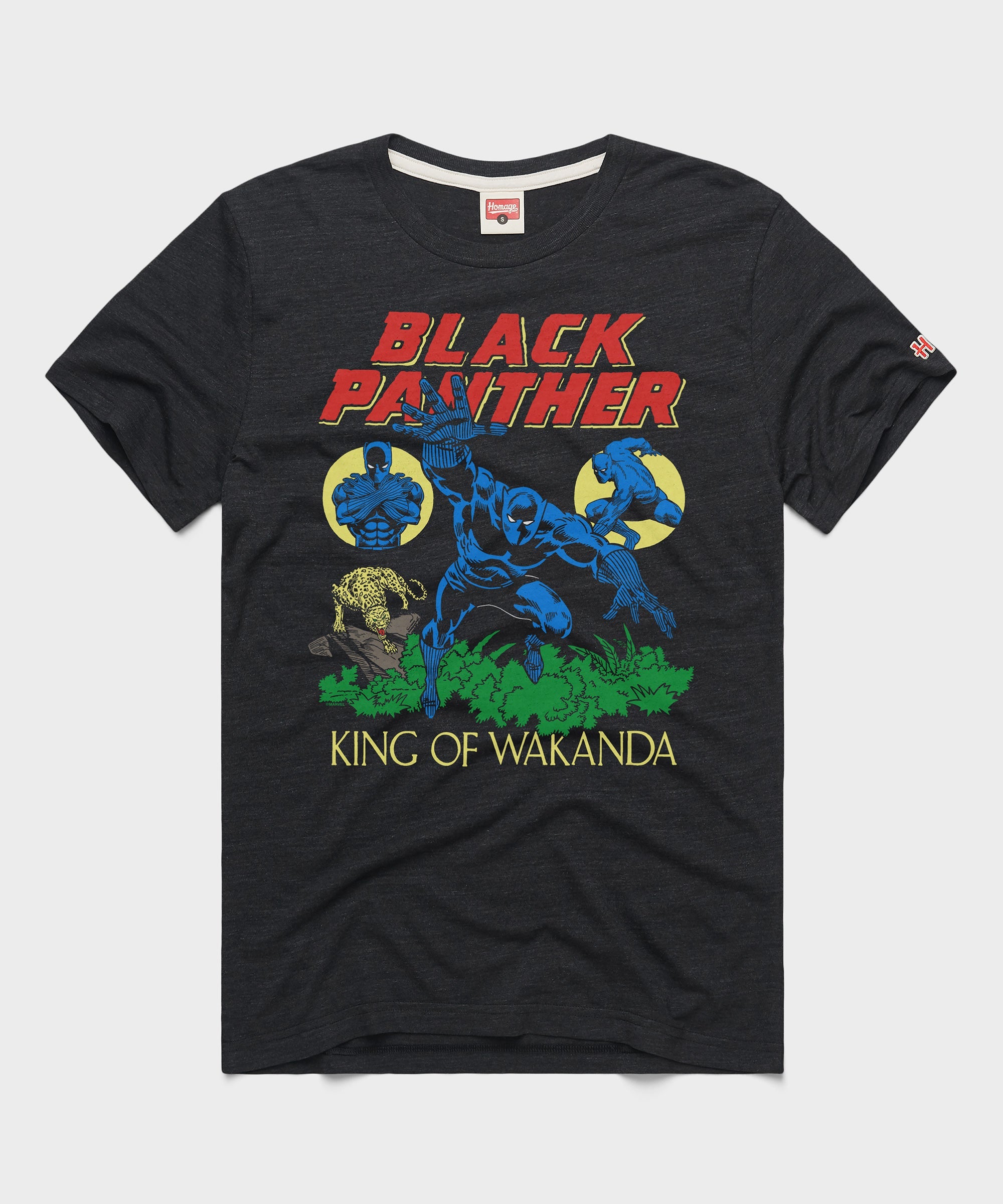 Black Panther The King Of Wakanda