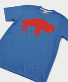 Buffalo Bills '70