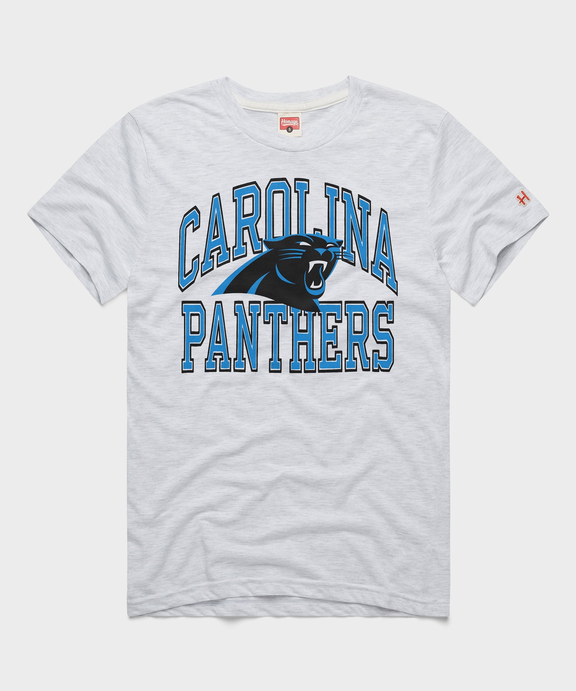 Carolina Panthers Arch Ash