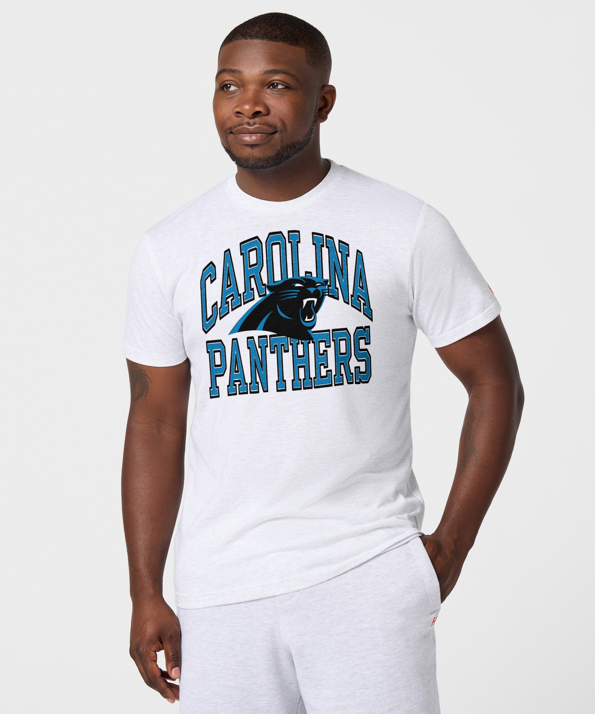 Carolina Panthers Arch