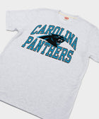 Carolina Panthers Arch