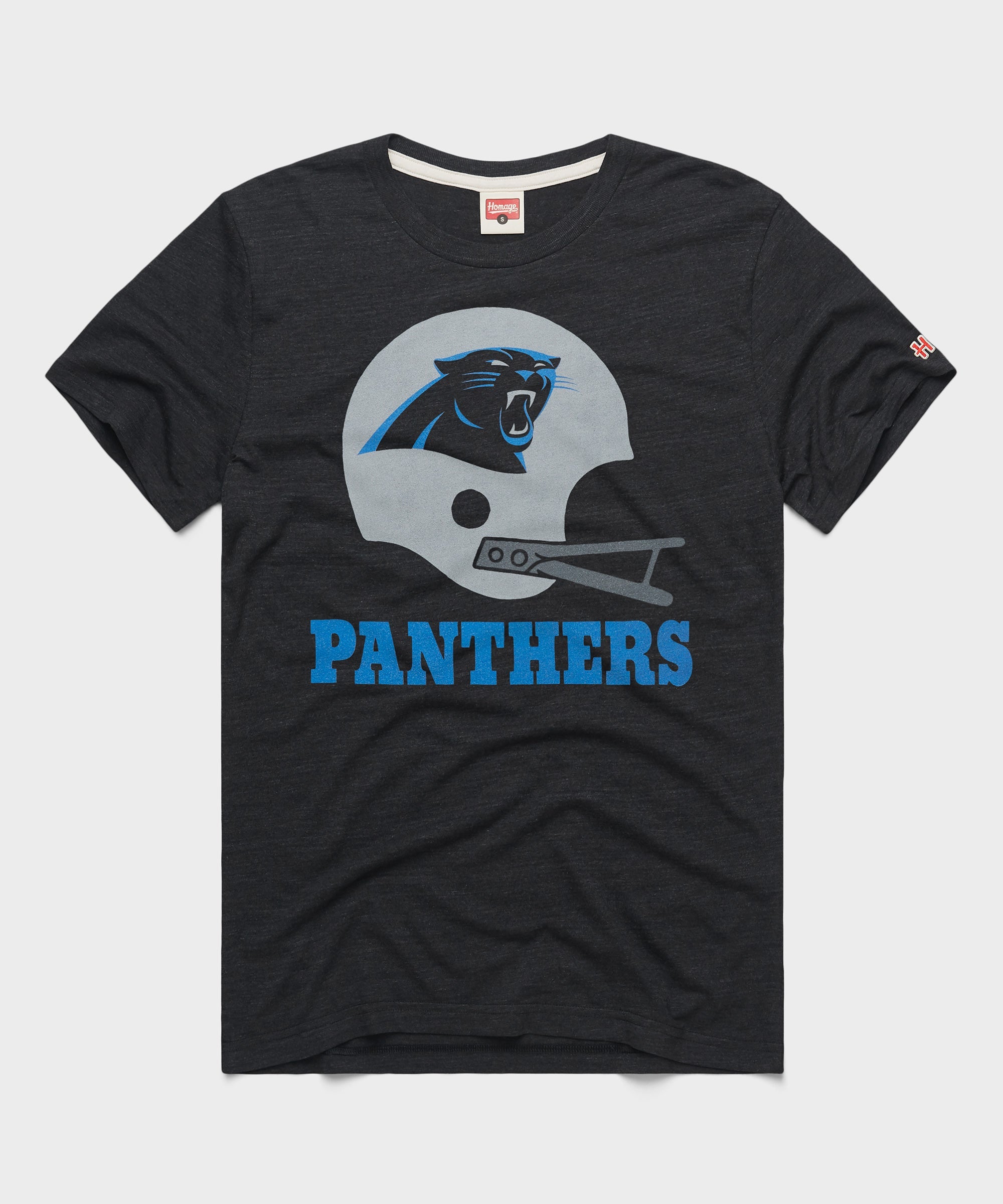 Carolina Panthers Big Helmet