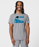 Carolina Panthers Color Splash