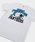 Carolina Panthers Keep Pounding