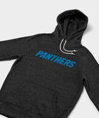 Carolina Panthers Wordmark '12 Hoodie