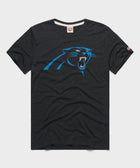 Carolina Panthers '12
