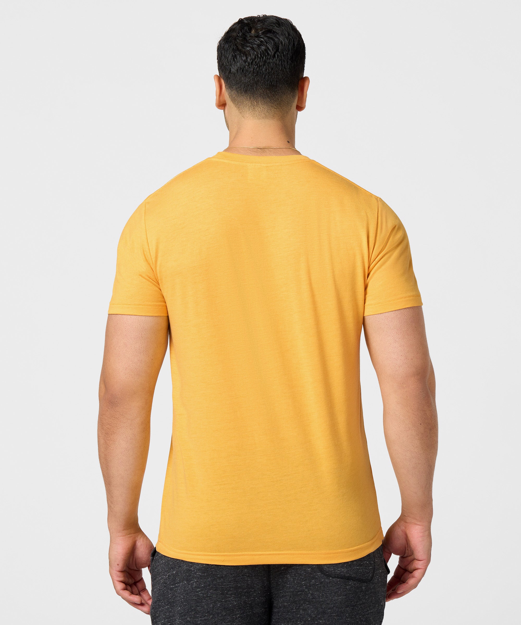 Cedar Point Power Tower