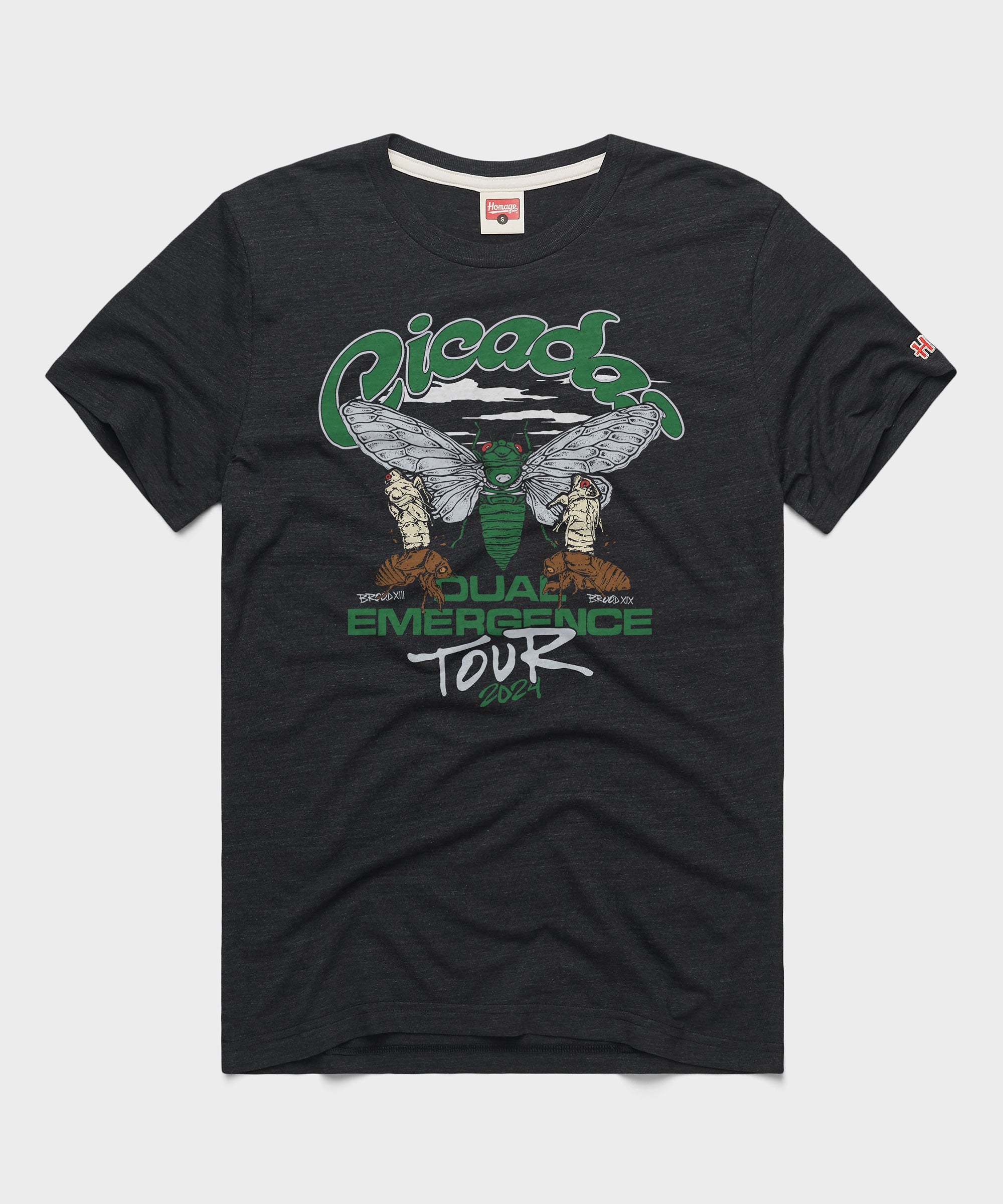 Cicadas Dual Emergence Tour 2024