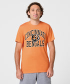 Cincinnati Bengals Arch