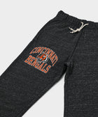 Cincinnati Bengals Arch Sweatpants