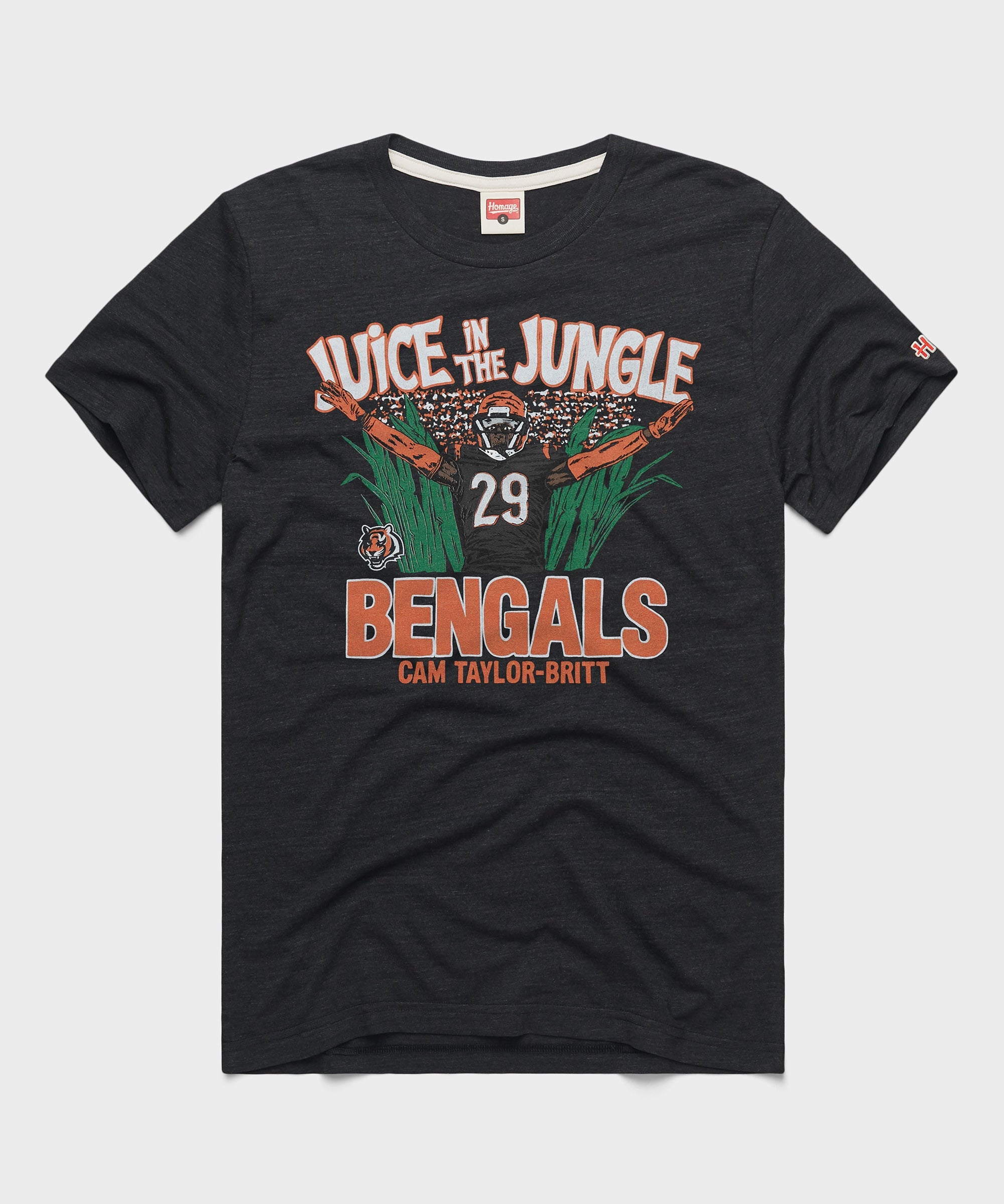 Cincinnati Bengals Cam Taylor Britt