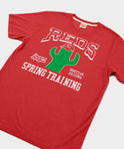Cincinnati Reds Cactus League