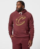 Cleveland Cavaliers Logo Hoodie