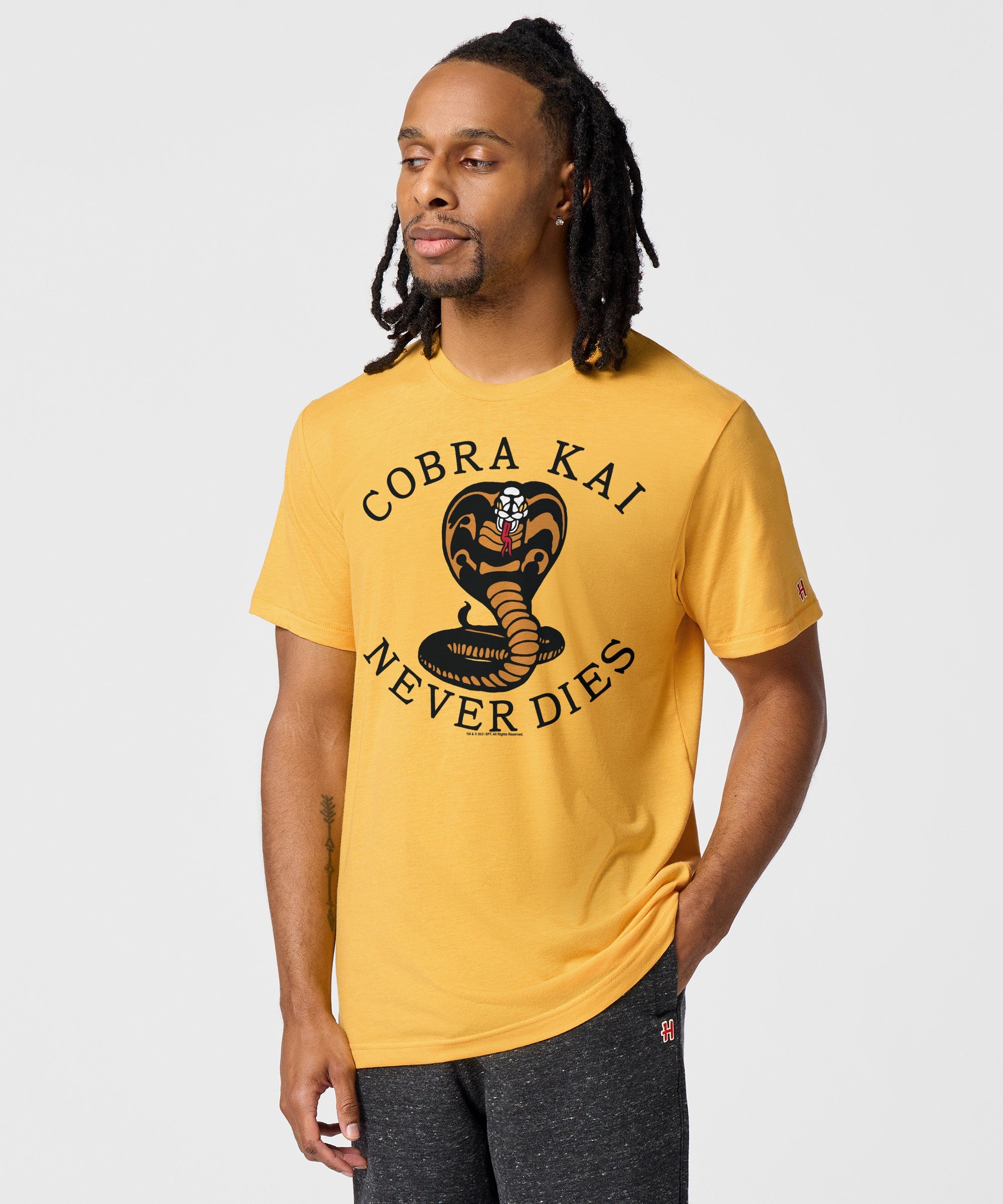 Cobra Kai Never Dies