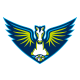  Dallas Wings Logo