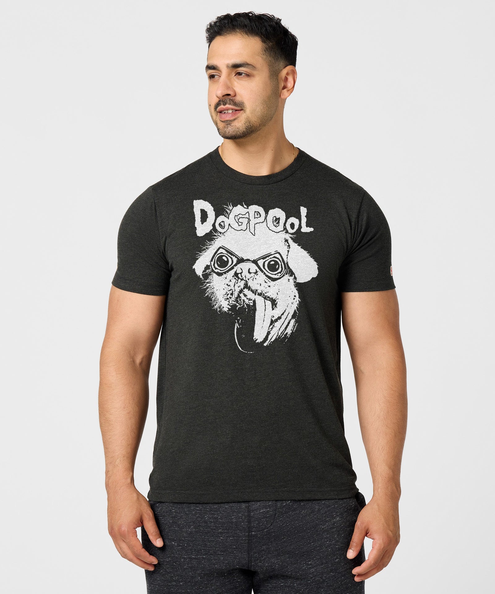 Deadpool The Real Big Dog Dogpool