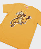 Denver Broncos '60